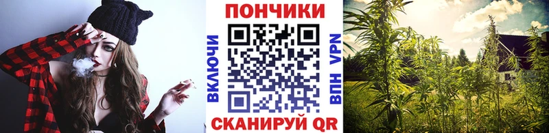 купить наркотик Рязань МАРИХУАНА SATIVA & INDICA